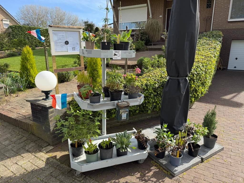 Plantjes ( en brocantjes), Ophalen, Overige soorten, Halfschaduw
