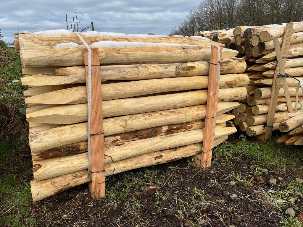 Kastanje palen, Ophalen, Nieuw, 250 cm of meer, Palen