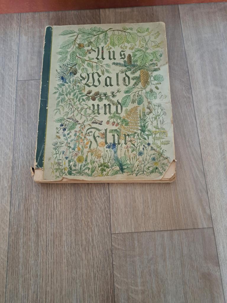 Oud botanisch boek: Aus Wald und Flur, Boeken, Ophalen of Verzenden