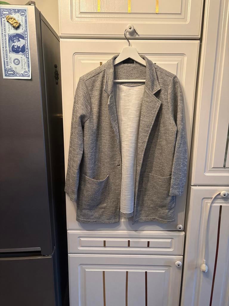 Stijlvol grijs Gina jasje/blazer, maat L, Kleding | Dames, Ophalen of Verzenden, Zo goed als nieuw, Maat 38/40 (M), Grijs