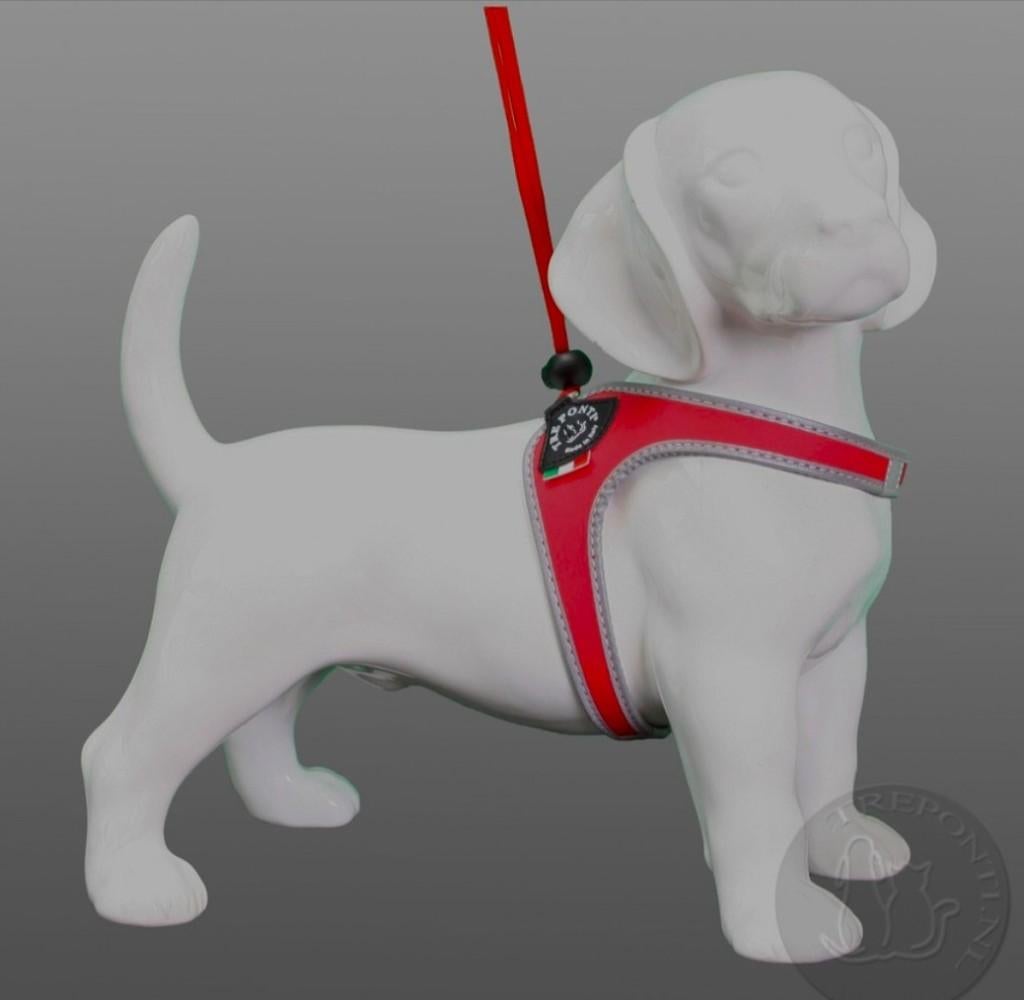 Tre Ponti honden tuigje, Ophalen, Zo goed als nieuw, Hondenriem