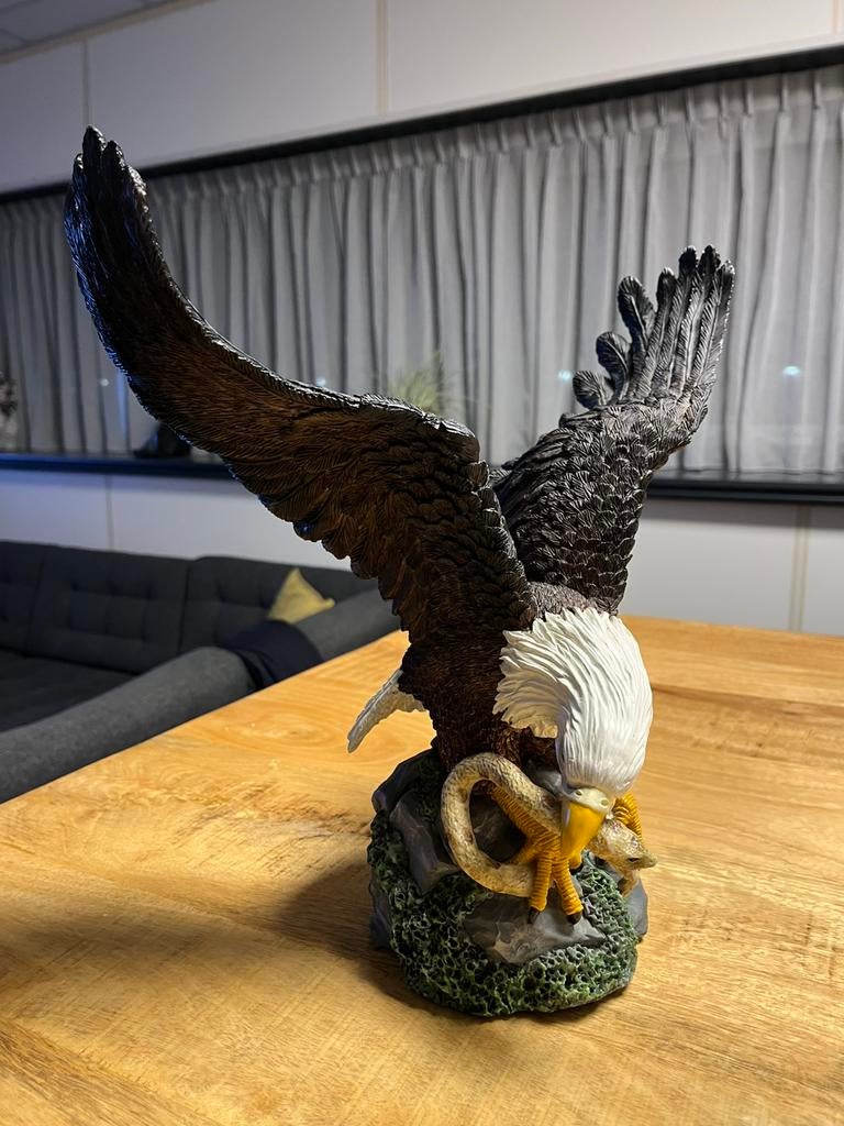 Zeearend, Ophalen of Verzenden, Zo goed als nieuw, Dier