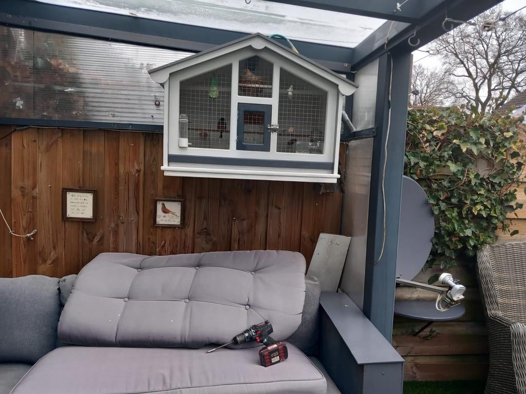 Gevraagd Zoek zo een zelfde kooi, Geslacht onbekend