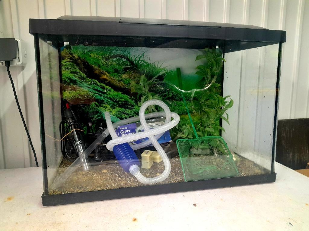Aquarium van 60cm, Dieren en Toebehoren, Vissen | Aquaria en Toebehoren, Ophalen, Gebruikt, Overige merken, Leeg aquarium