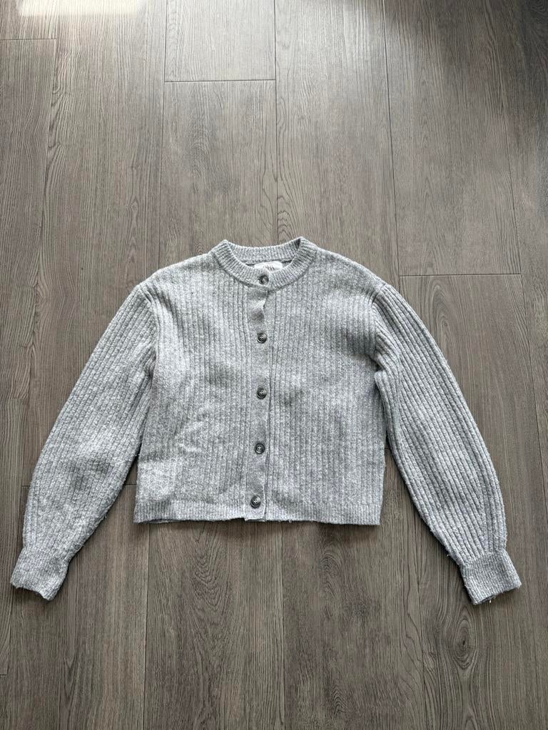 Zara grijs vestje met knoopjes, maat S, mog netjes., Ophalen of Verzenden, Gedragen, Maat 36 (S), Grijs