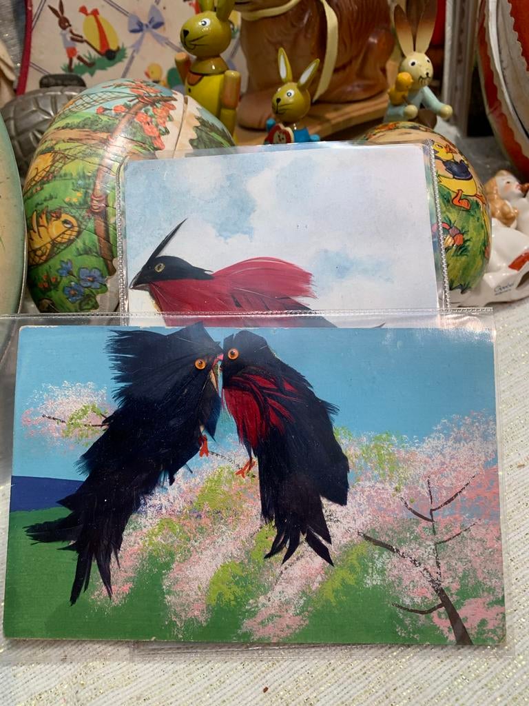 Oude bijzondere Ansichtkaarten met Vogels en echte veren, Antiek en Kunst, Ophalen of Verzenden