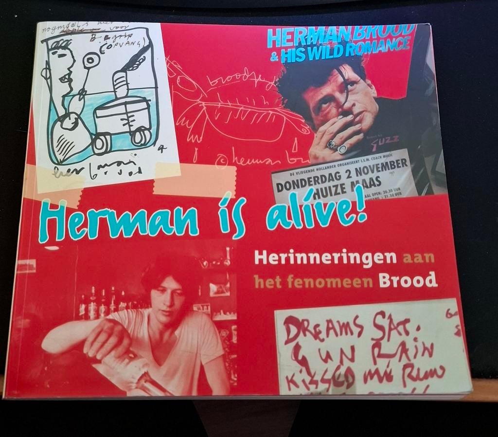 Herman Brood - Herinneringen aan het fenomeen, Ophalen of Verzenden, Gelezen, Diverse Auteurs, Kunst en Cultuur