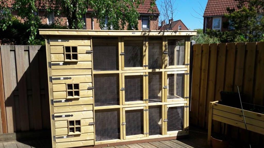 DIERVERBLIJF FLAT 🐰 op maat 🐰 onderhoudsvrij HOK