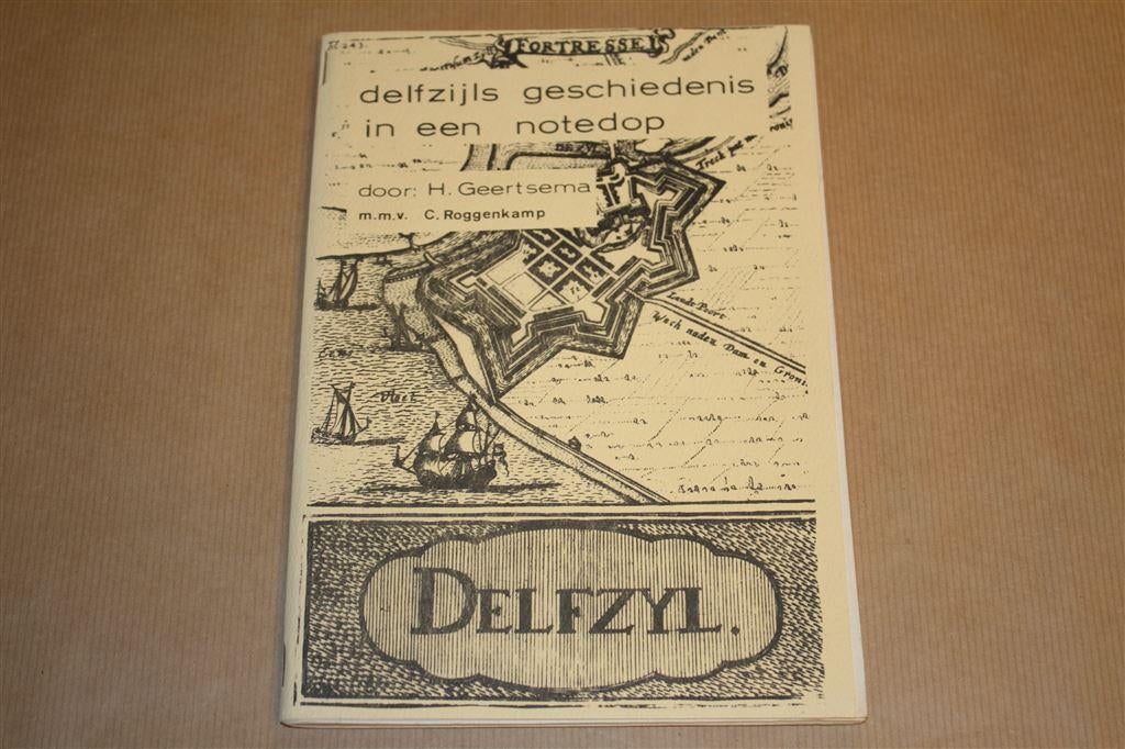 De geschiedenis van Delfzijl in een notedop - H. Geertsema, Ophalen of Verzenden, Gelezen
