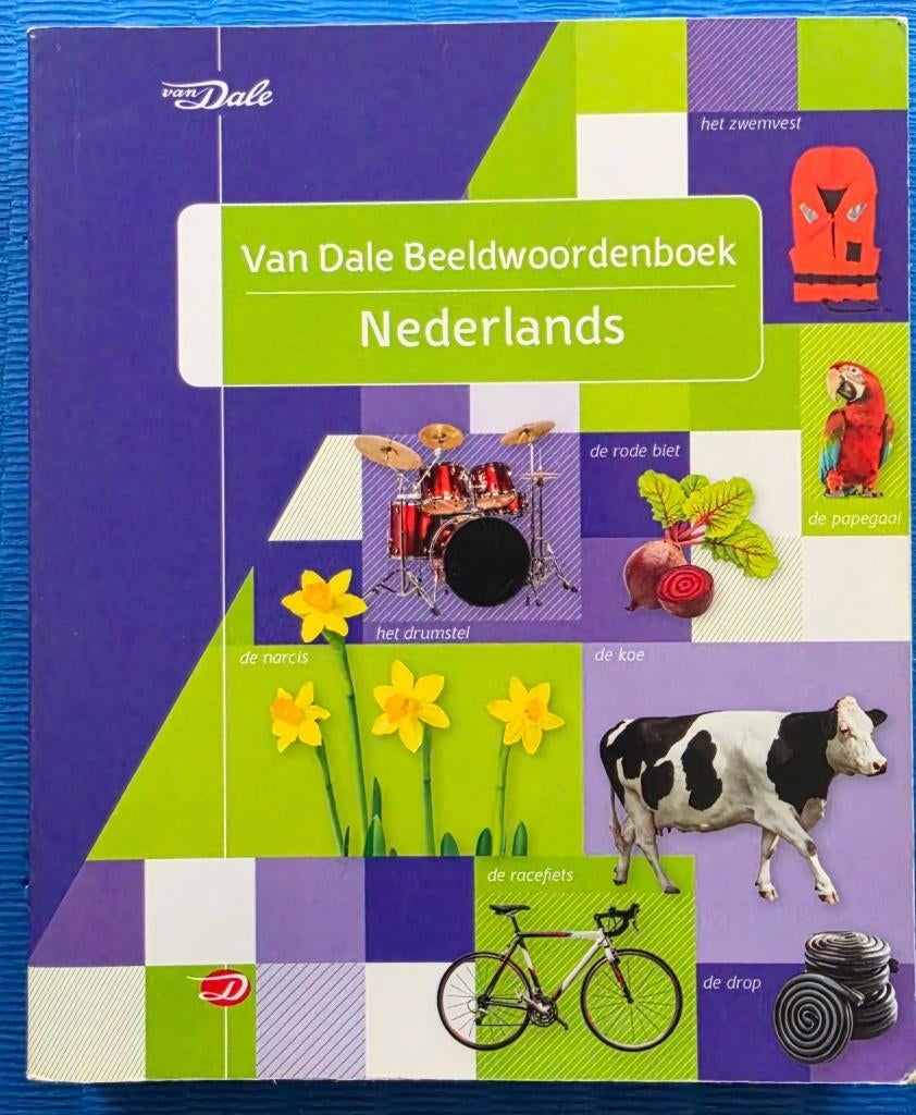Van Dale Beeldwoordenboek Nederlands - Visual Dictionary, Van Dale, Nederlands, Ophalen of Verzenden, Zo goed als nieuw