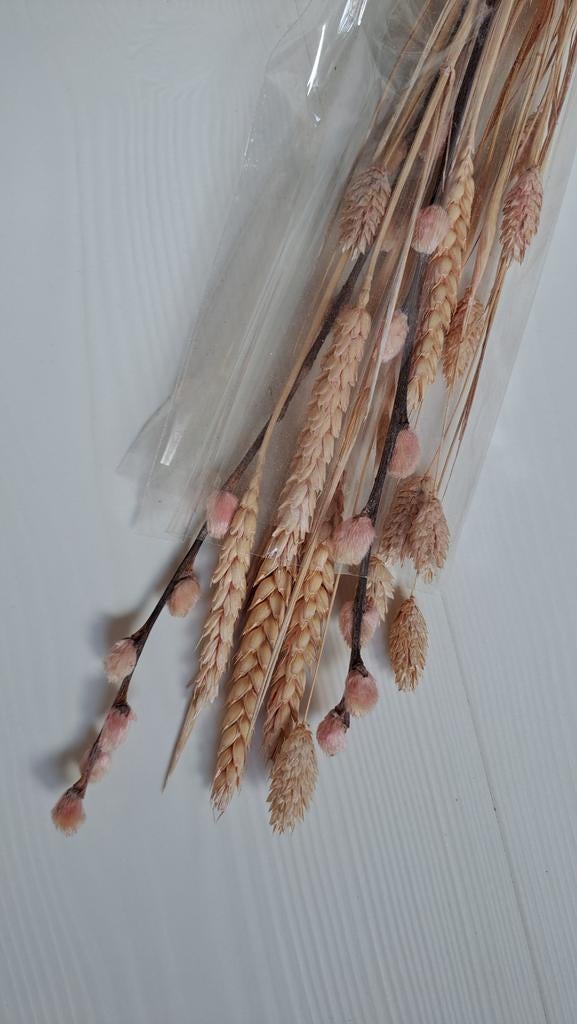 Bosje droogbloemen lichtroze - roze | oa wilgenkatjes, Ophalen, Nieuw