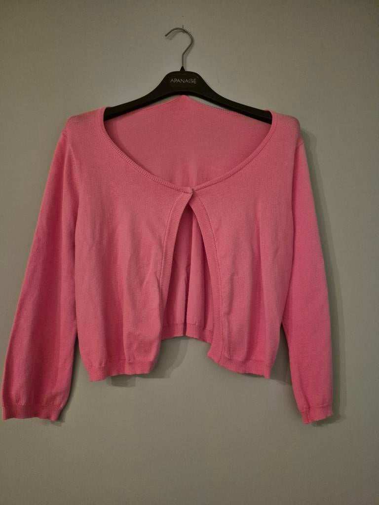 Roze bolero van Bluebay Women, maat l, Kleding | Dames, Maat 42/44 (L), Ophalen of Verzenden, Zo goed als nieuw, Roze