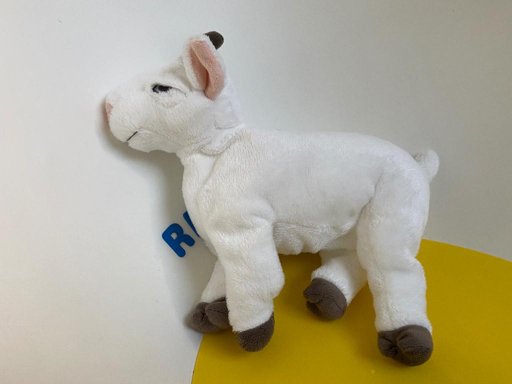 5716 ikea bok geit wit bruin, Ophalen of Verzenden, Overige typen