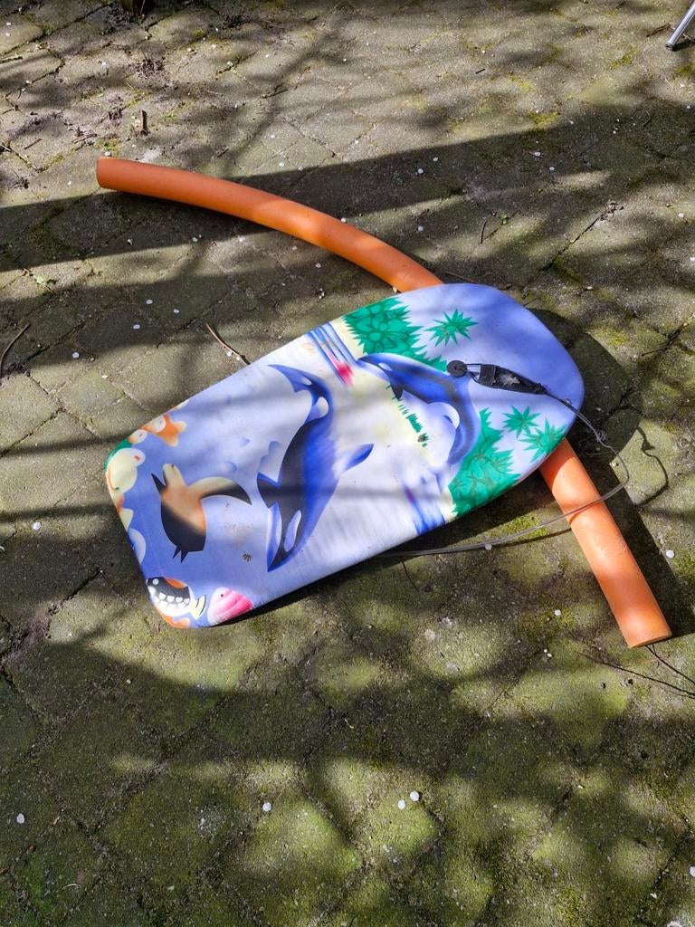 Bodyboard met dolfijnenprint en drijf ding, Ophalen, Overige typen