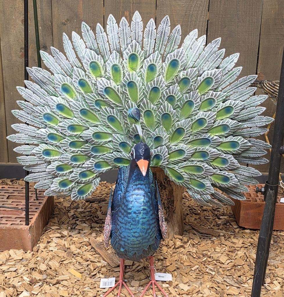 PAUW MET OPEN STAART / metaal