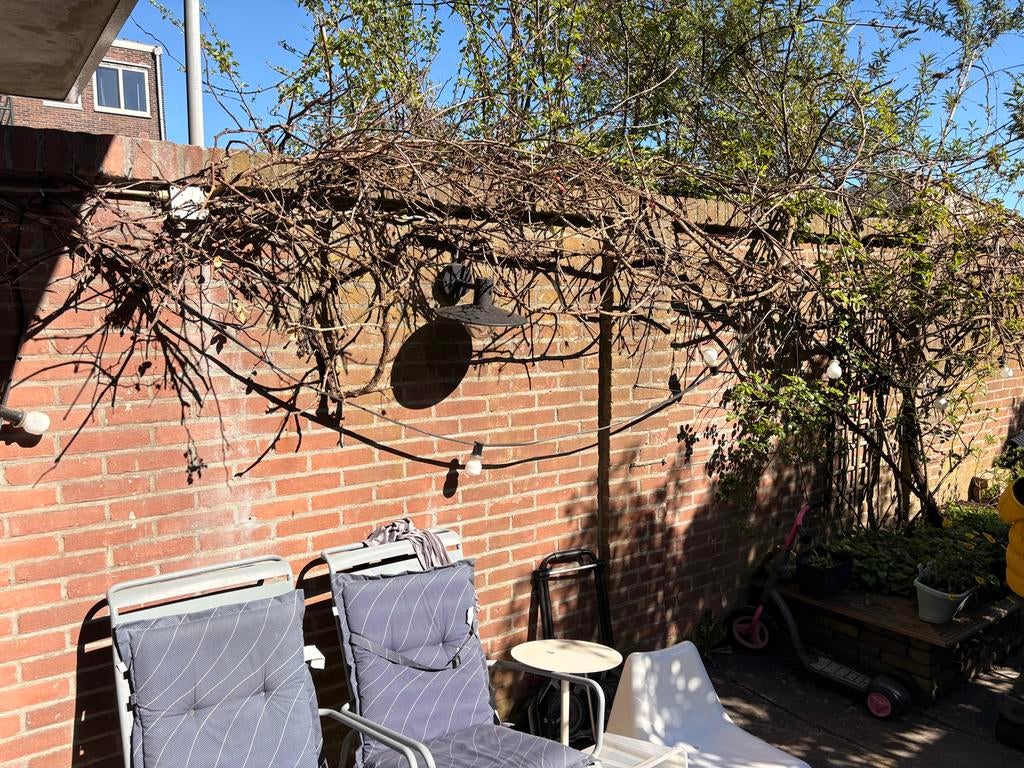 Prikkabel met 20 lampen, 10-12 meter, Ophalen, Kunststof, Gebruikt, Minder dan 50 watt