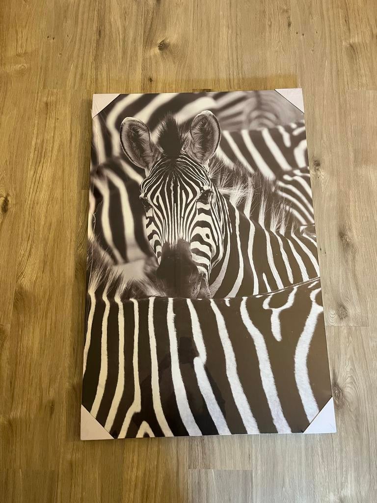 Schilderij zebra, Huis en Inrichting, Woonaccessoires | Schilderijen, Tekeningen en Foto's, Ophalen, Nieuw, Schilderij, 75 tot 100 cm