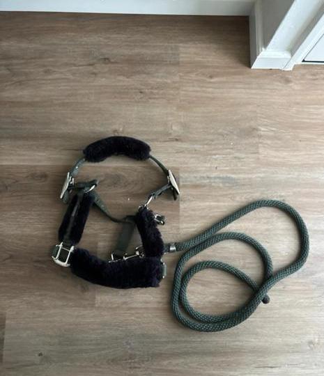 Halster set Equestrian Stockholm, Dieren en Toebehoren, Paarden en Pony's | Hoofdstellen en Tuigage, Zo goed als nieuw, Dressuur