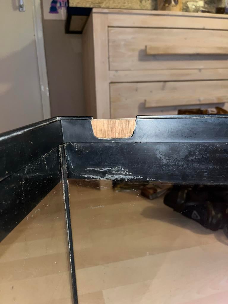 Groot hamster terrarium!, Dieren en Toebehoren, Minder dan 60 cm, Gebruikt, Ophalen of Verzenden, Hok