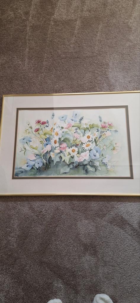 Aquarel, Antiek en Kunst, Kunst | Tekeningen en Foto's, Ophalen