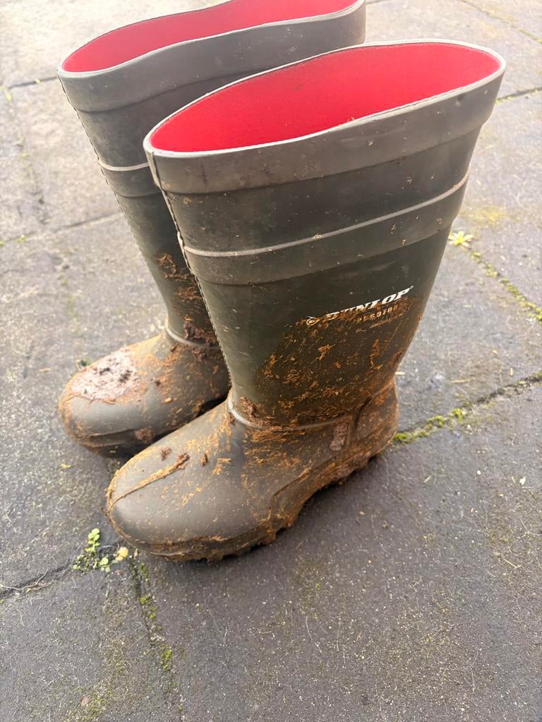 Dunlop Purofort Thermo laarzen maat 37, Verzenden, Gedragen, Groen, Regenlaarzen