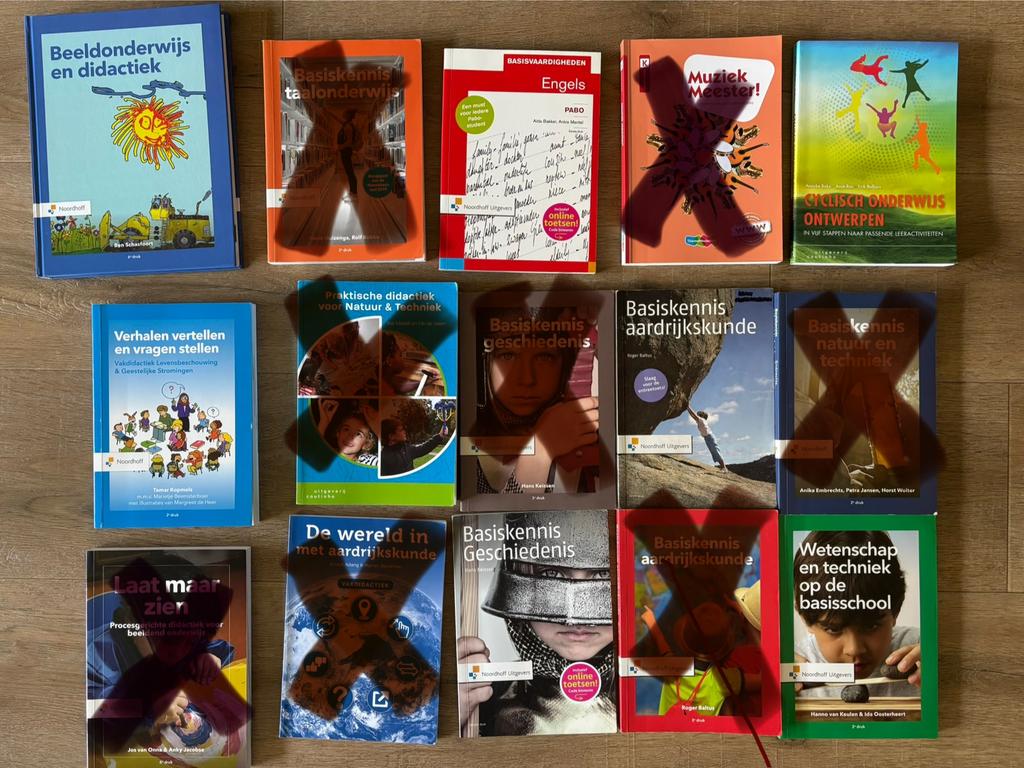 Pabo boeken leerjaar 1t/m4, Hogeschool SAXION, Boeken, Ophalen, Alpha, Zo goed als nieuw, HBO