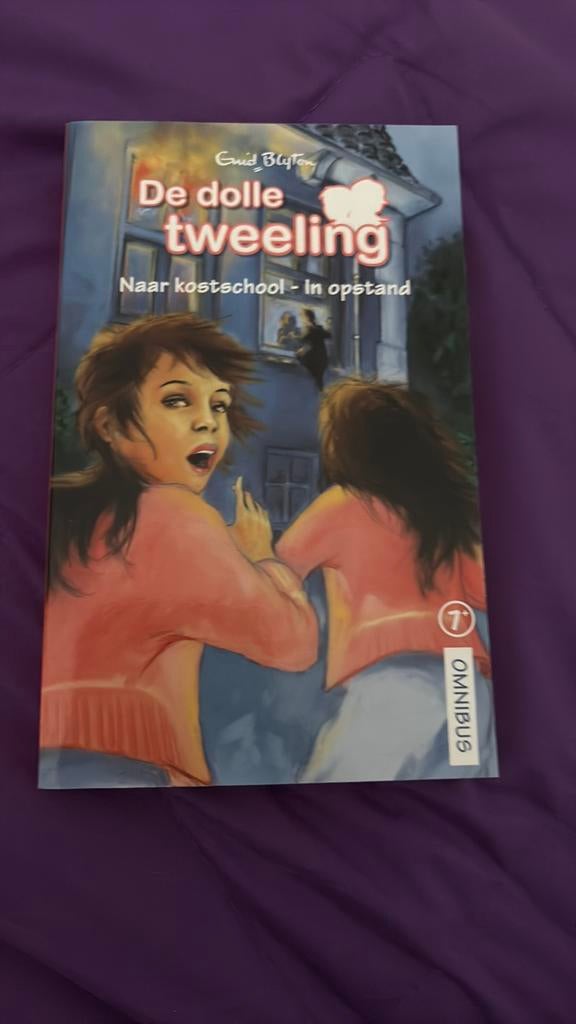 De dolle tweeling, Boeken, Kinderboeken | Jeugd | 10 tot 12 jaar, Ophalen of Verzenden, Zo goed als nieuw