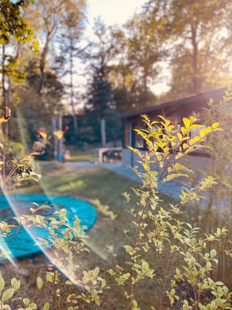 Natuurhuisje te huur in Drenthe, In bos, 2 slaapkamers, Overige typen, Wasmachine