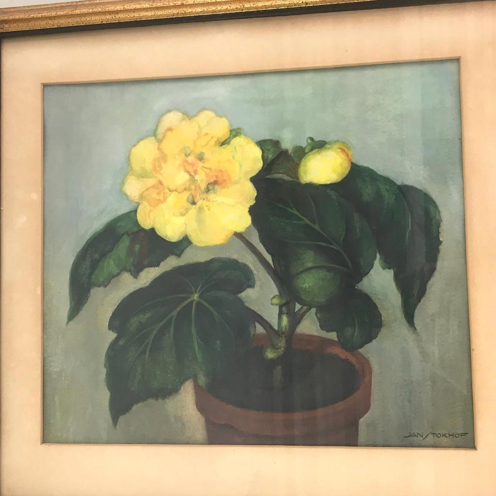 aquarel bloemstilleven jan stokhof, Ophalen of Verzenden