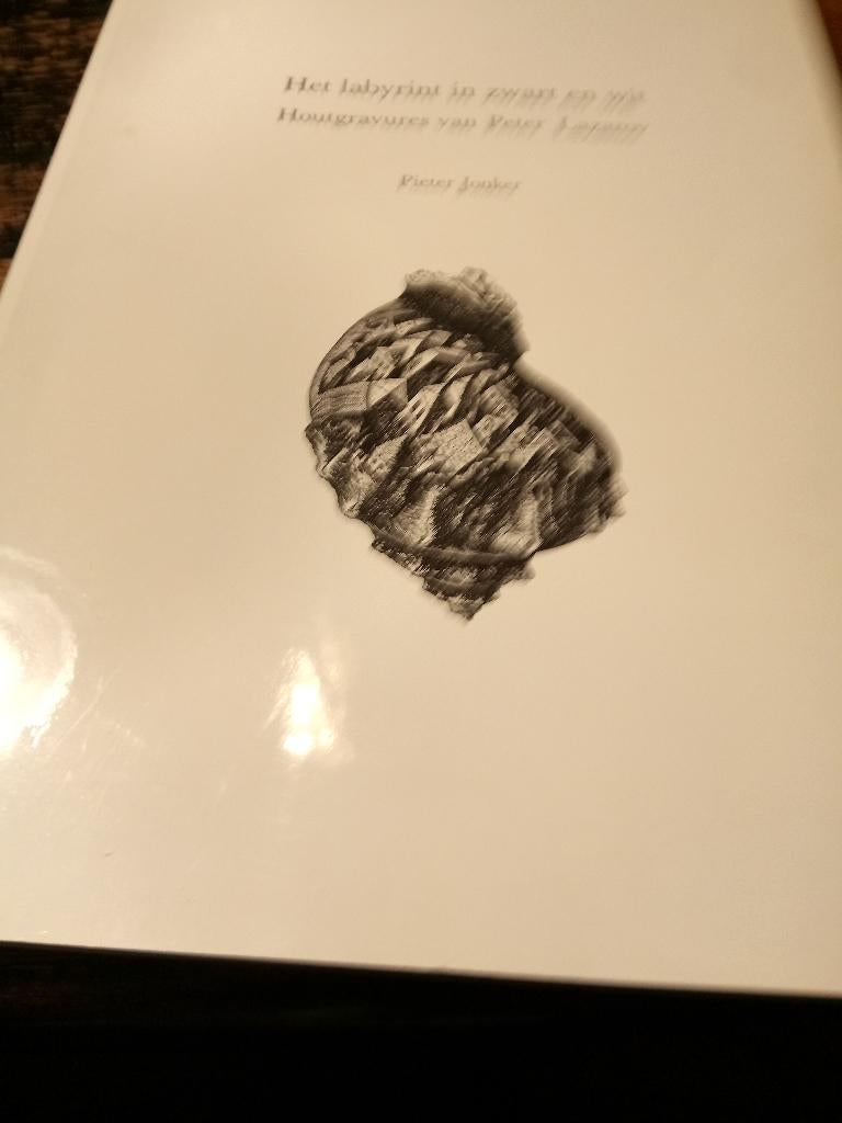 het labyrint in zwart  en wit boek, Ophalen of Verzenden, Zo goed als nieuw