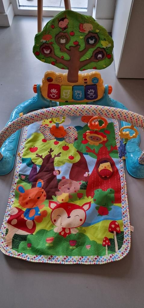 Fisher-Price Rainforest Speelgym, Ophalen, Gebruikt, Babygym, Met licht