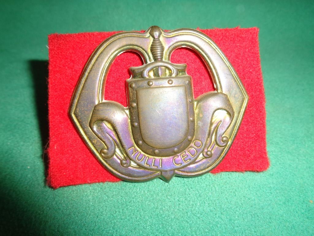 Baret embleem oude slag buigpennen Infanterie, Verzenden, Landmacht, Nederland, Embleem of Badge