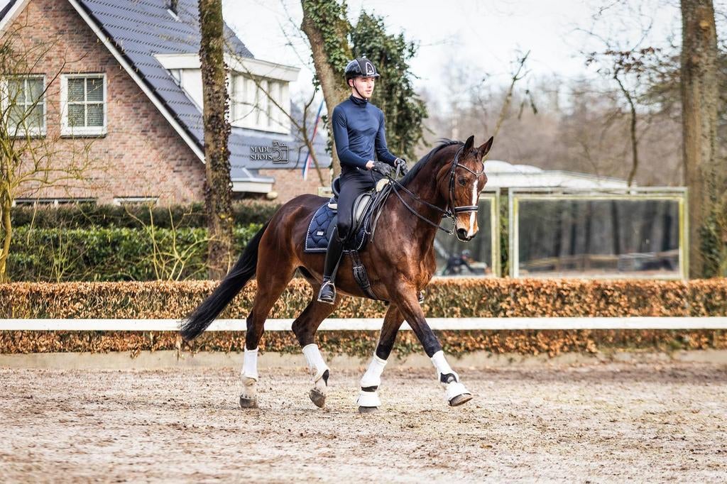 Zadelmak maken, Training, uitbrengen op wedstrijden, Gedragstraining