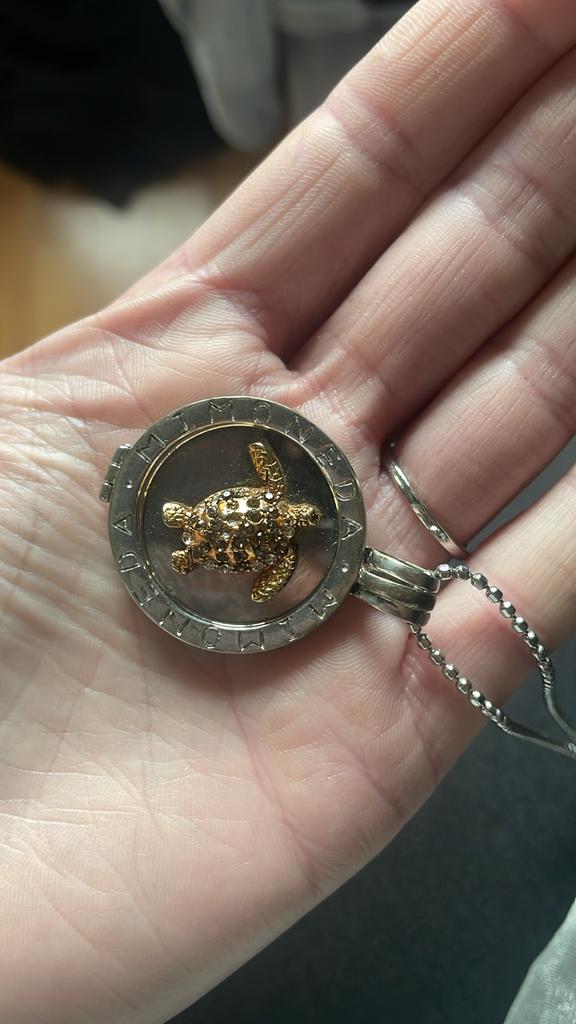 Mi moneda hanger schildpad en 2 andere + plaatje, Sieraden, Tassen en Uiterlijk, Kettinghangers, Overige materialen, Gebruikt