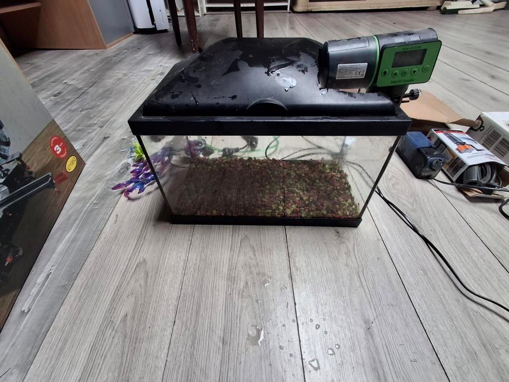 Compleet Aquarium +autofeeder+ NIEUWE Pompen & Filters, Dieren en Toebehoren, Vis