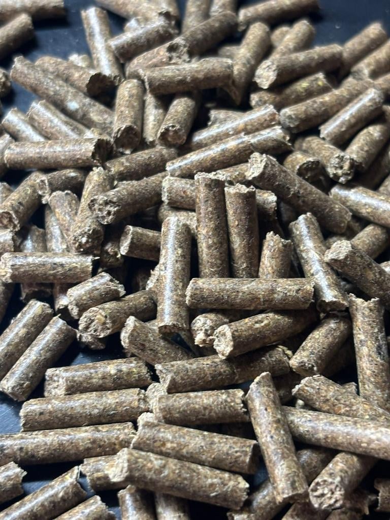 Pellets  karpervissen, Ophalen of Verzenden, Nieuw, Overige typen