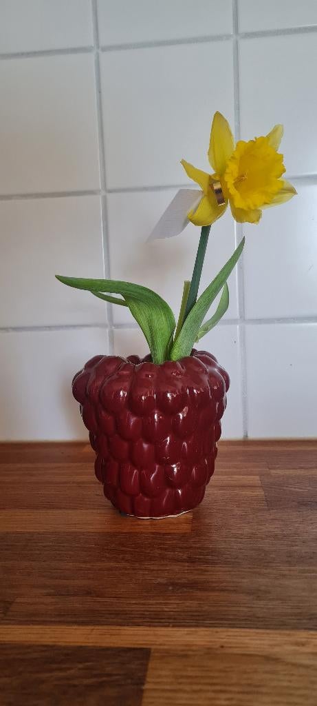 Vaas, Raspberry/Framboos, Ophalen of Verzenden