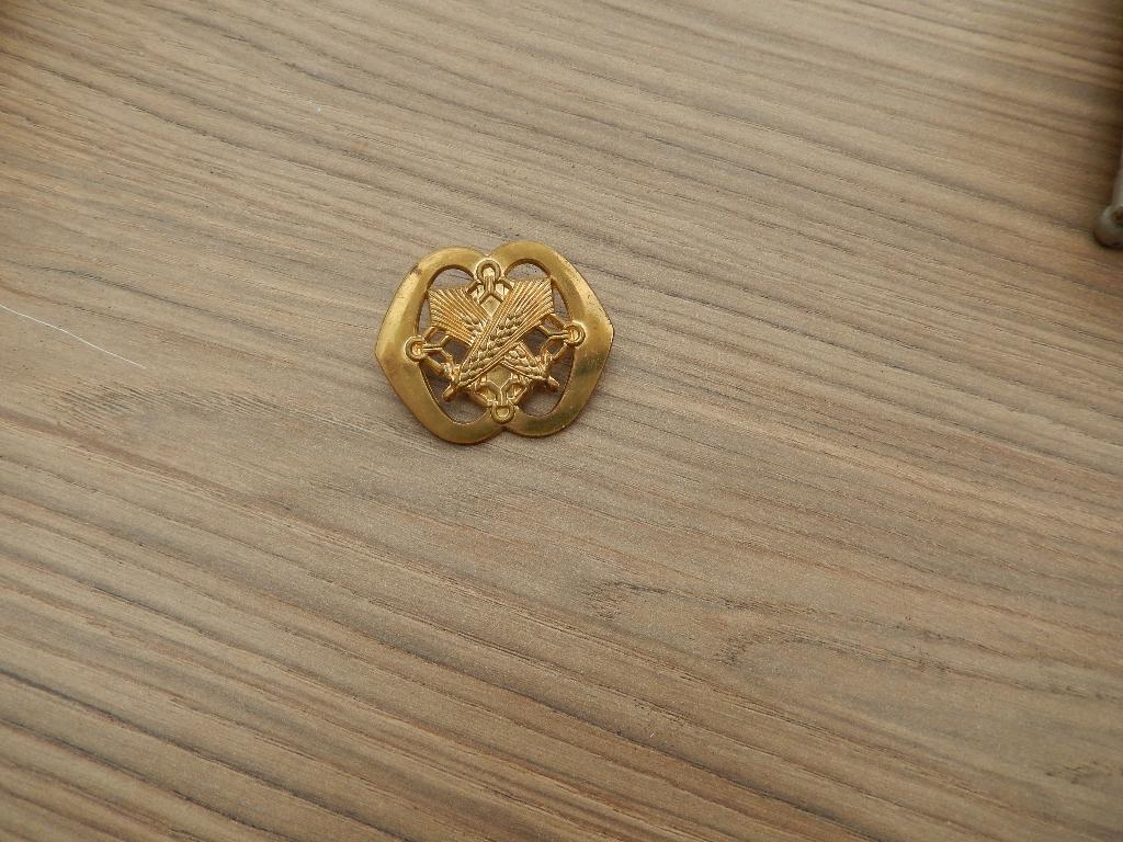 Baret Embleem, Verzamelen, Ophalen of Verzenden, Landmacht, Nederland, Embleem of Badge