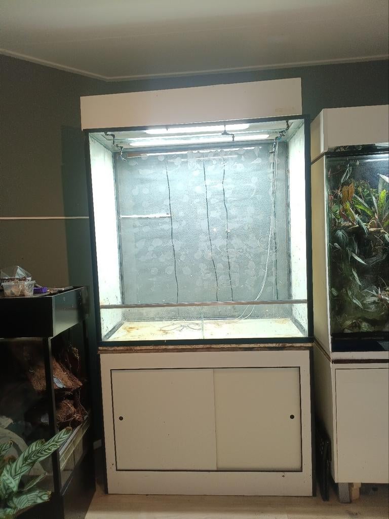 Terrarium met meubel en kap en verlichting., Dieren en Toebehoren, Reptielen en Amfibieën | Toebehoren, Ophalen, Gebruikt, Terrarium of Paludarium