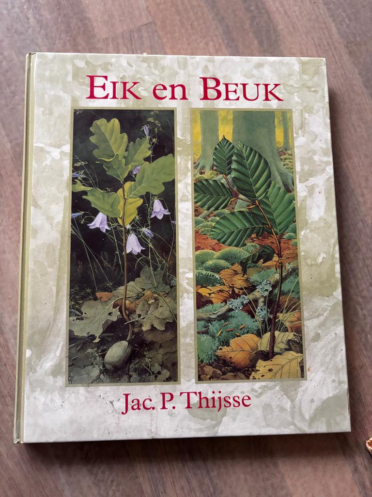 Eik en Beuk, Bloemen, Planten en Bomen, Diverse, Ophalen of Verzenden, Zo goed als nieuw