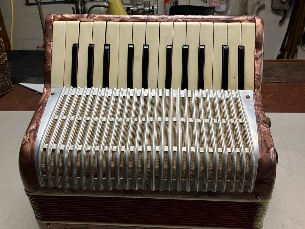 Omhangen en spelen maar, met Bluetooth, Overige merken, Gebruikt, Overige formaten, Toetsaccordeon