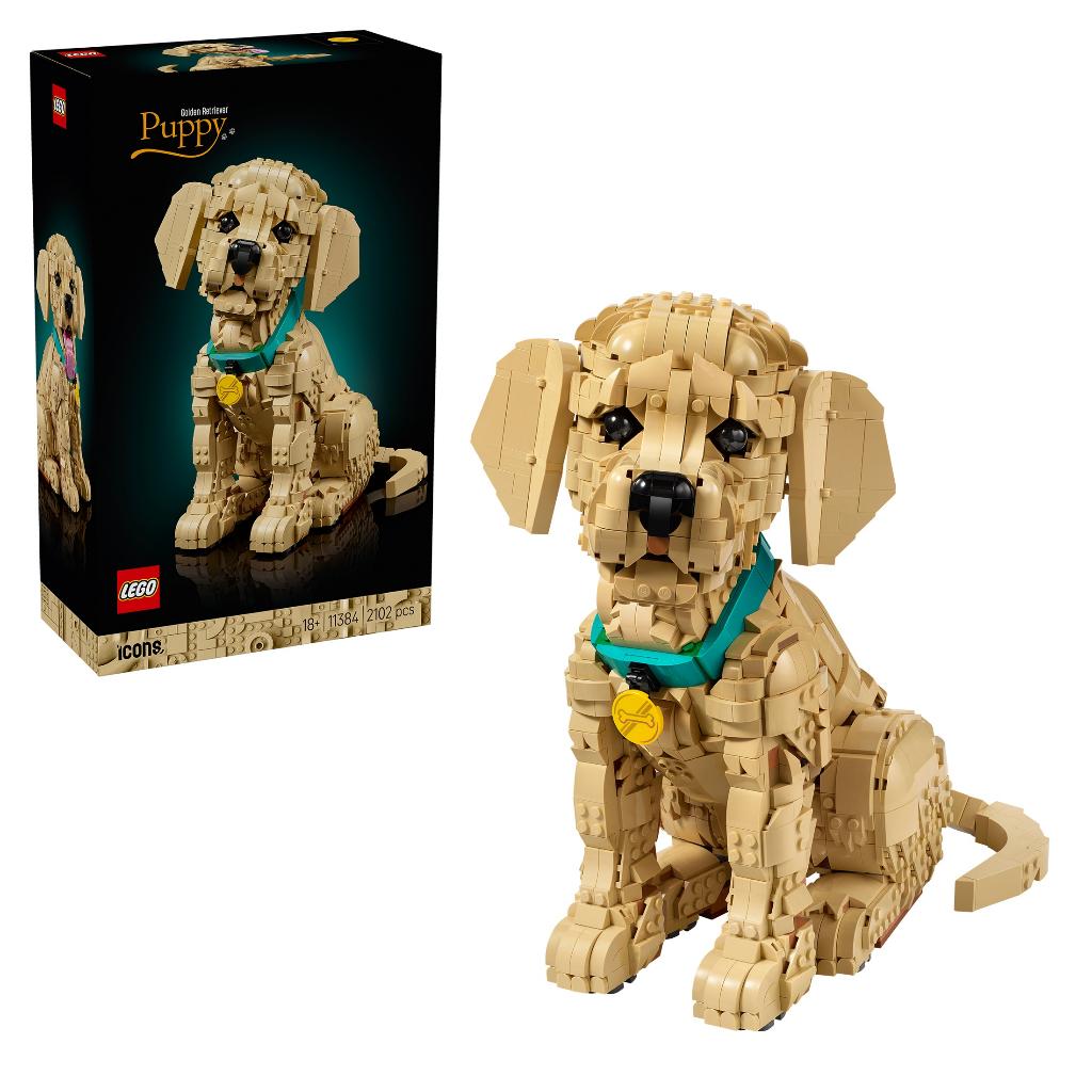 LEGO 11384 LEGO Icons Golden Retriever Puppy 2102 delig, Lego, Nieuw, Ophalen of Verzenden, Icons