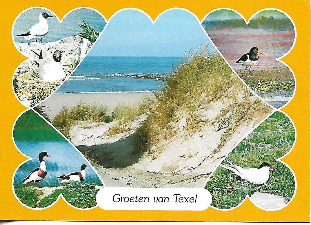 Texel- -5-luik., Verzenden, 1980 tot heden, Ongelopen, Waddeneilanden