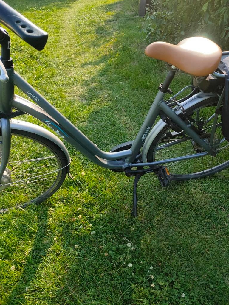 Elektrische Fiets Ontario Green Team E-Bike, 51 tot 55 cm, Ophalen, Gebruikt, 30 tot 50 km per accu