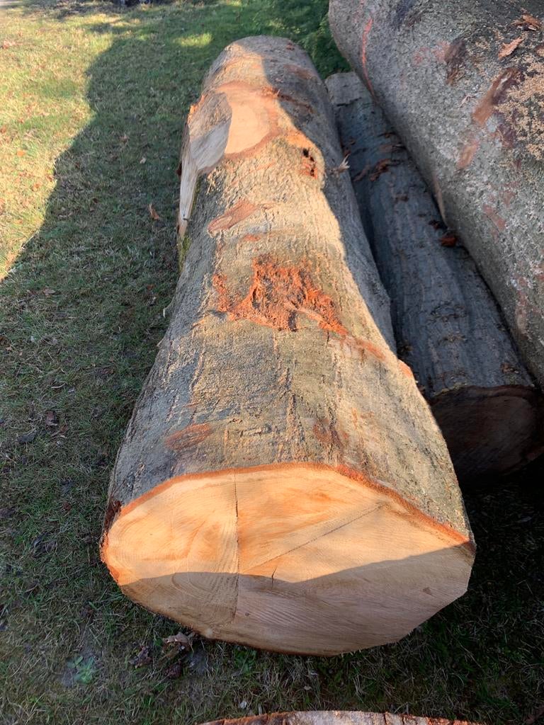 stamhout te koop!, Tuin en Terras, Haardhout, 6 m³ of meer, Ophalen of Verzenden, Stammen