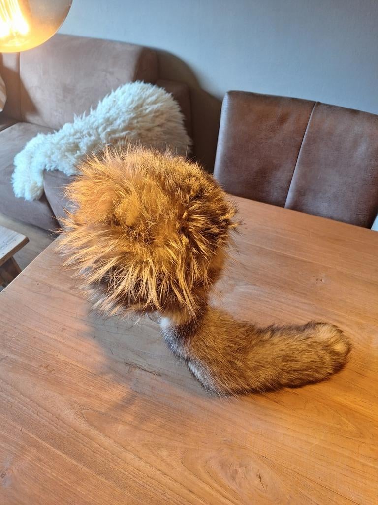 Orginele bontmuts.siberische poolvos., Ophalen of Verzenden, Zo goed als nieuw, Maat 38/40 (M), Muts