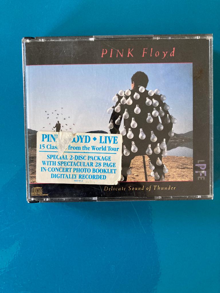 Pink Floyd:Delicate sound of thunder, Ophalen of Verzenden, Gebruikt, Poprock