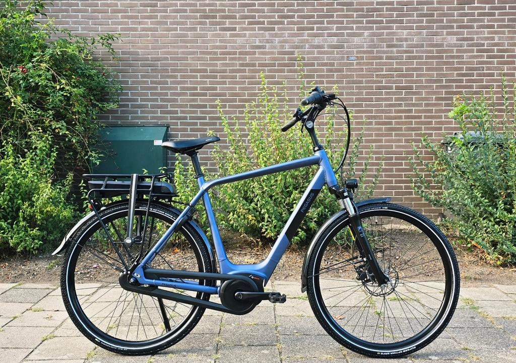 Slechts 102km! Pegasus elektrischefiets 2024, Fietsen en Brommers, 55 tot 59 cm, Ophalen, Zo goed als nieuw, Overige merken