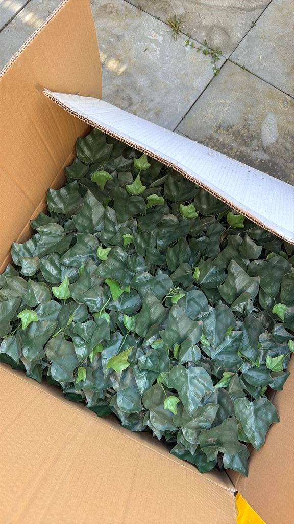 KUNSTHAAG NIEUW IN DOOS, Ophalen, Nieuw