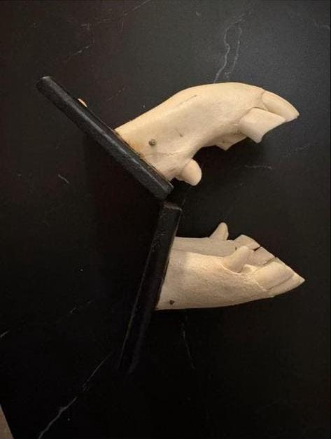 Vintage anatomisch model, Antiek en Kunst, Ophalen